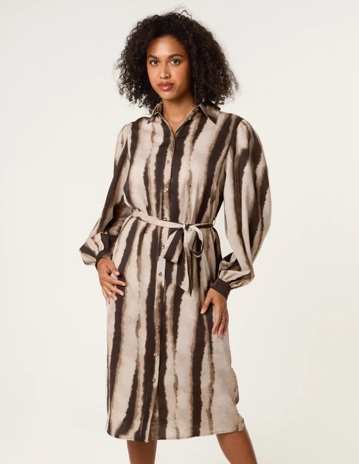 Printed Puff Sleeve Button Through Midi Dress